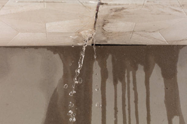 Professional Sewage Cleanup technician working in Northridge, CA